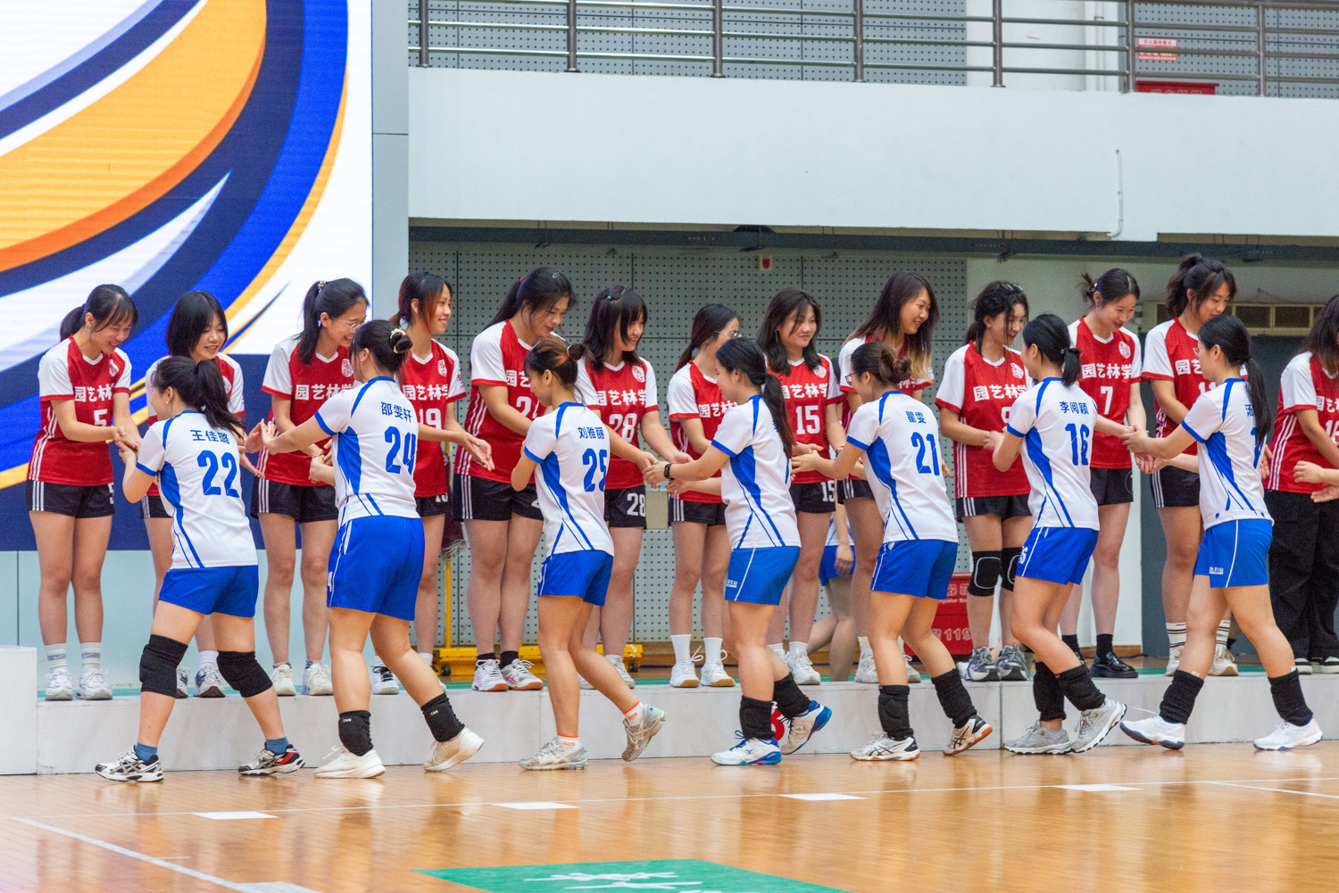颁奖仪式动科动医学院女子排球队与园艺林学学院女子排球队握手致意(学通社记者 魏雨城 摄)
